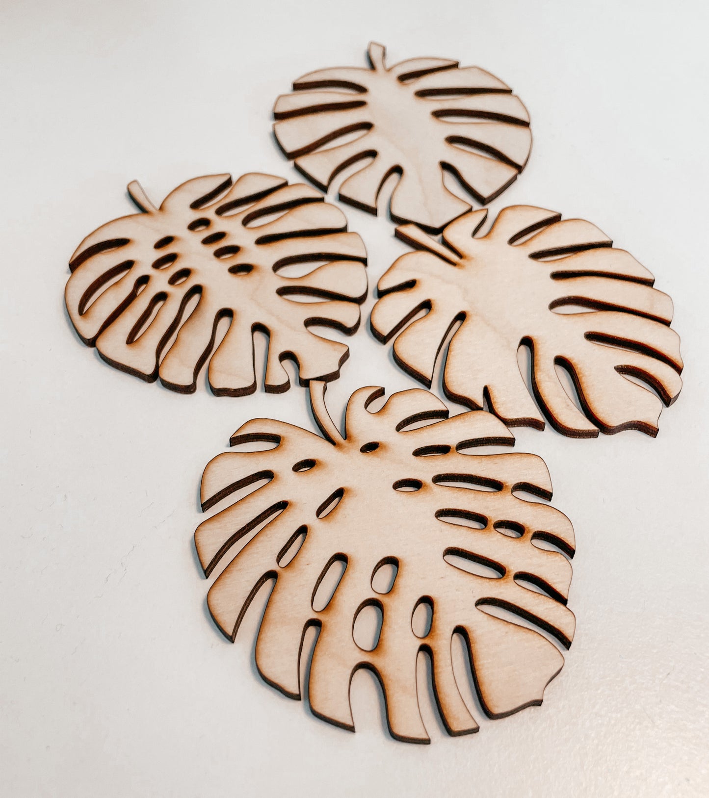 MONSTERA COASTERS (4pk, 6pk, 8pk)