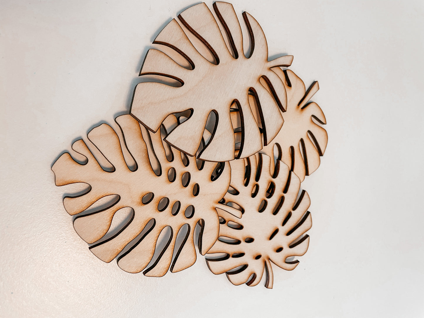 MONSTERA COASTERS (4pk, 6pk, 8pk)