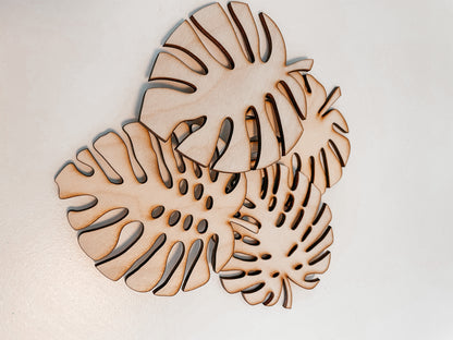 MONSTERA COASTERS (4pk, 6pk, 8pk)