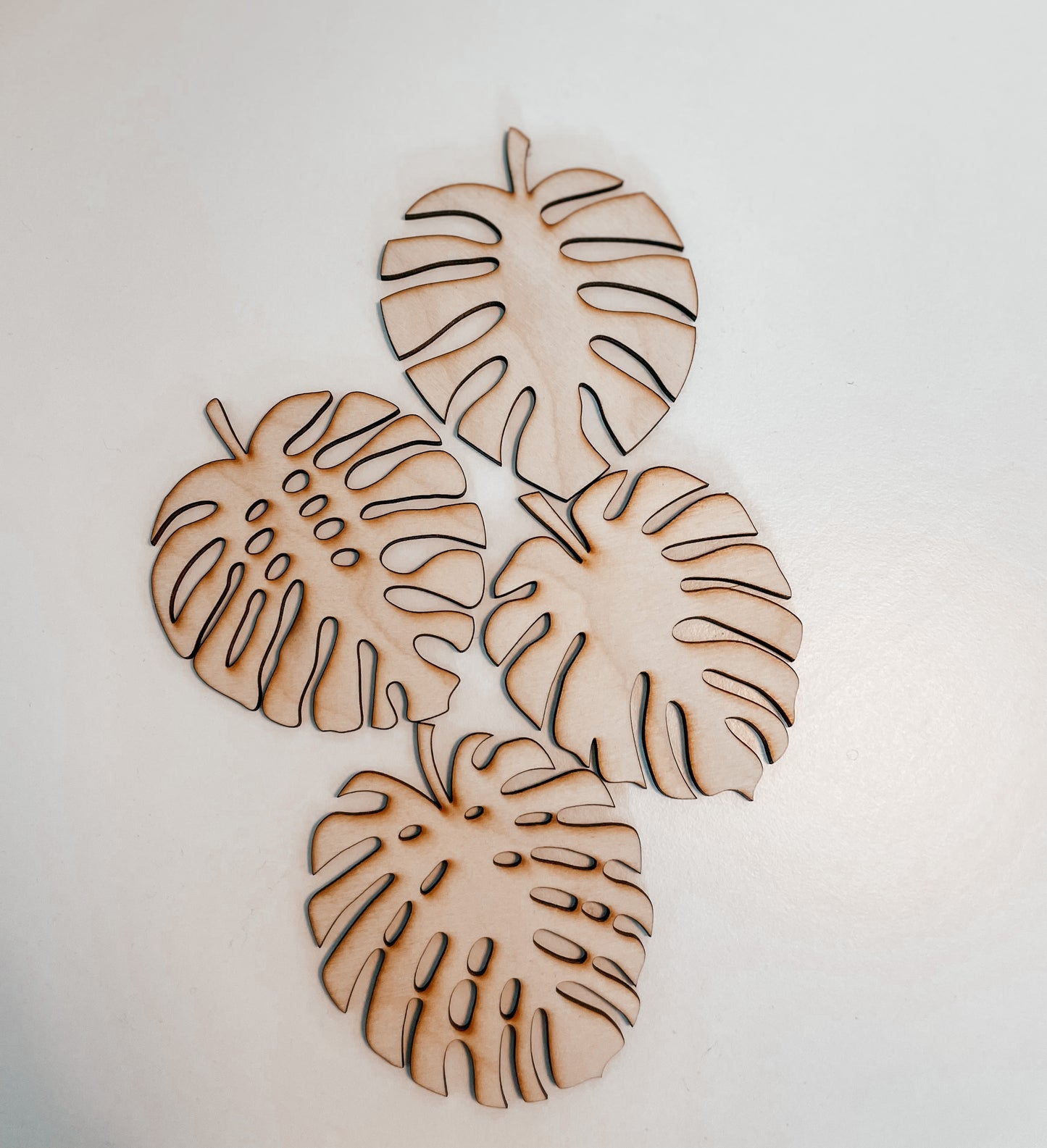MONSTERA COASTERS (4pk, 6pk, 8pk)